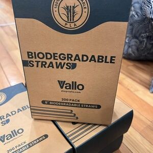 Vallo Biodegradable Straws 1000 straws